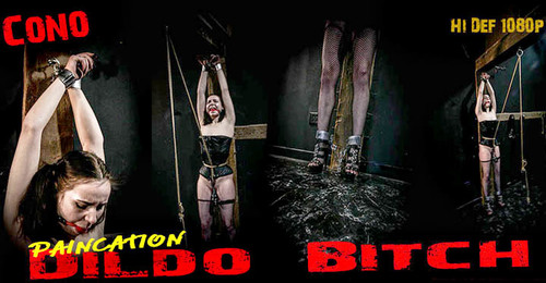 Paincation Dildo Bitch