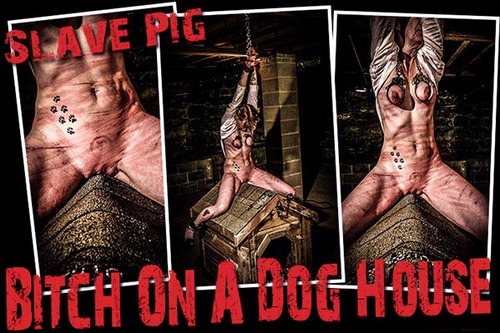 Bitch on a Dog House