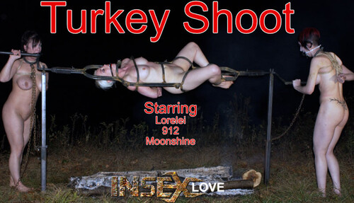 Turkey Shoot
